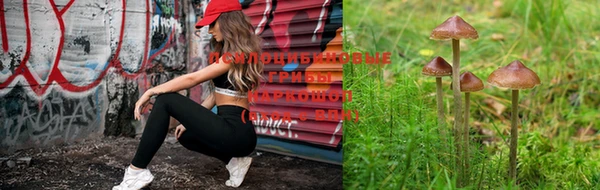 ГАЛЛЮЦИНОГЕННЫЕ ГРИБЫ Няндома